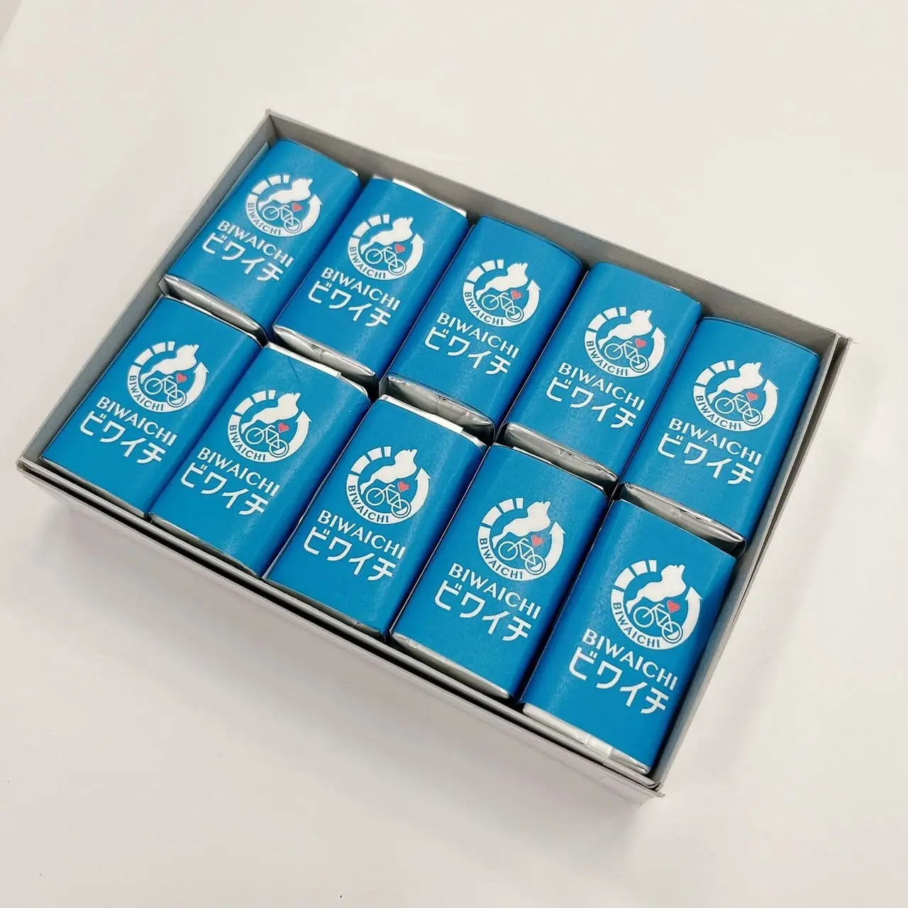 もりやまようかん１０個入